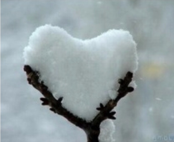 Snow heart  megF