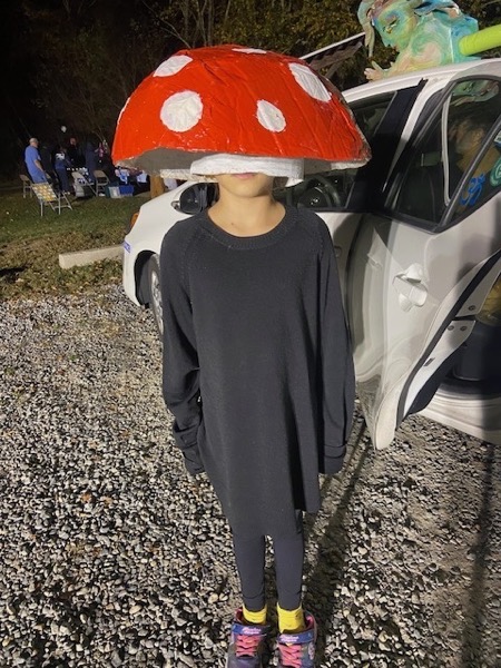 Luminaria aarya mushroom2