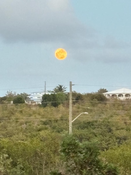 Full moon doug rice