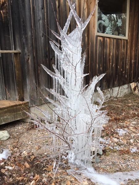 Icetree2